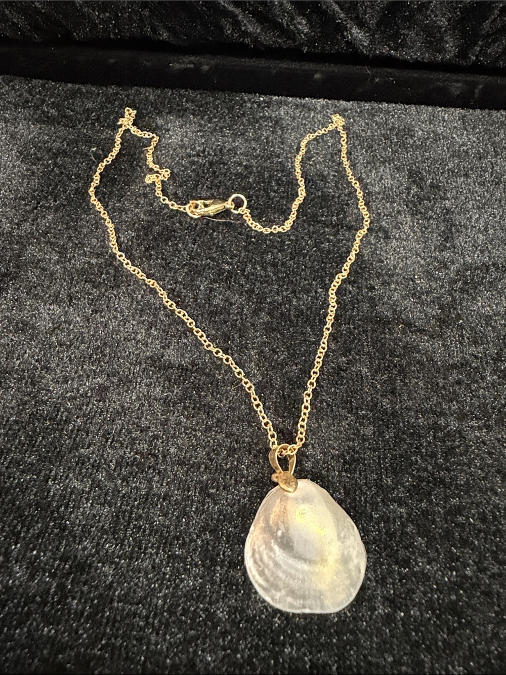 Handmade Natural Shell Necklace - Gold 925 Chain - One of a kind shell Pendant